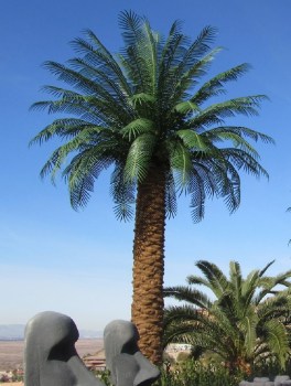 Outdoor Artificial Palm Trees Large Tall Dactylifera Phoenix Realistic